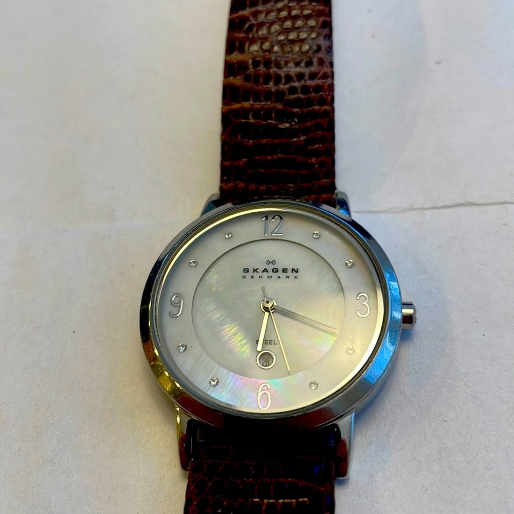 Skagen watch